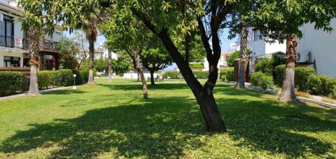 Akamas Sunset Bohemian Chic Apartment By One Villas Polis Exterior foto